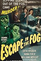 Escape in the Fog