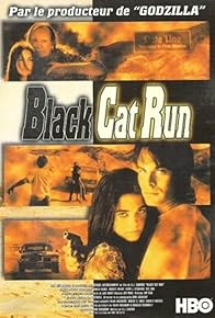 Primary photo for Black Cat Run