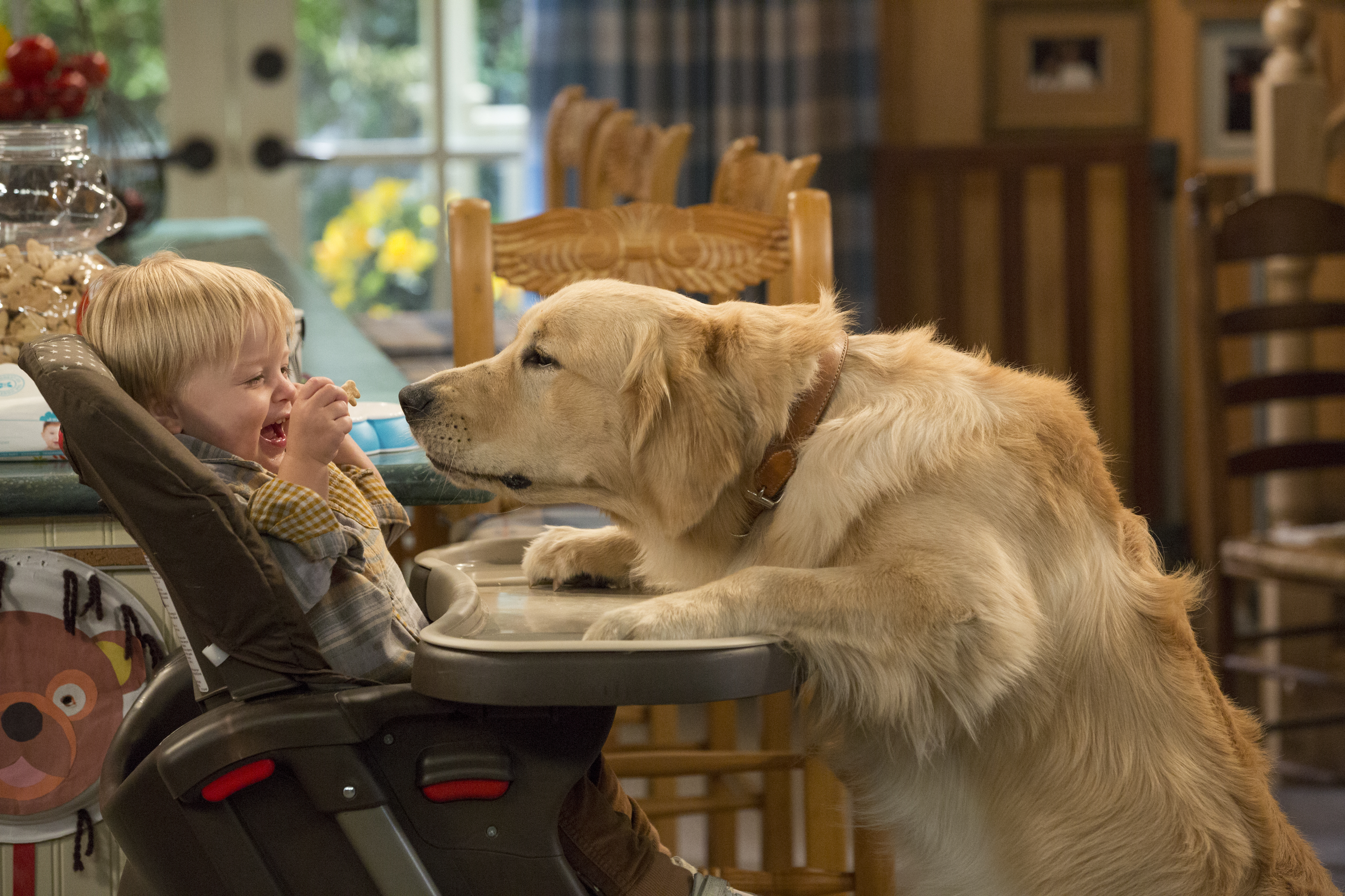 Cosmo, Fox Messitt, and Dashiell Messitt in Fuller House (2016)