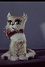 A Capricious Cat (1963)