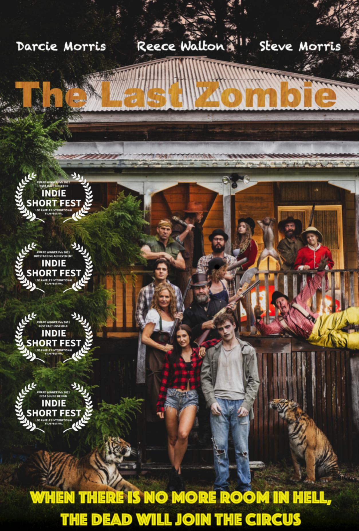 The Last Zombie (2021)