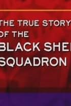 History Undercover: The True Story of the Black Sheep Squadron (2001)