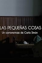 Las pequeñas cosas (2015)