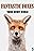 Foxes: Their Secret World