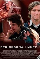 Sprickorna i muren (2003)