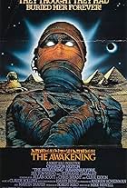 The Awakening (1980)