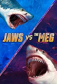 Primary photo for Jaws vs. the Meg