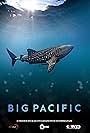 Big Pacific (2017)