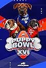 Puppy Bowl XVI (2020)