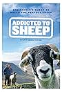 Addicted to Sheep (2015)