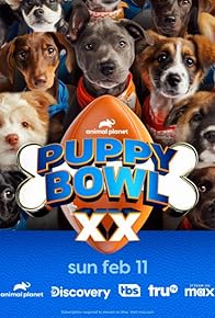 Primary photo for Puppy Bowl XX