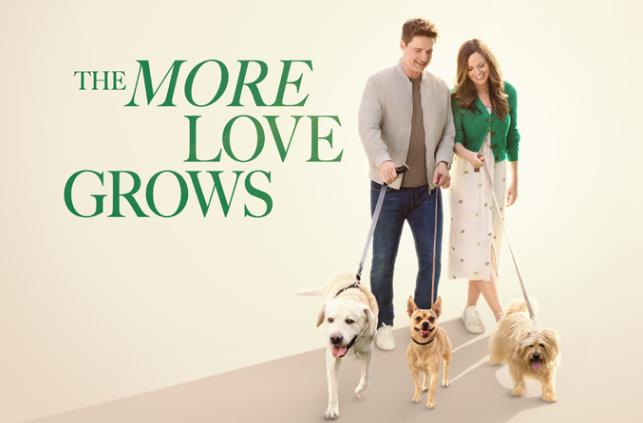 Rachel Boston and Warren Christie in The More Love Grows (2023)