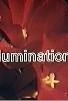 Illuminations