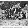 Al Ferguson, Carl Mathews, Max Terhune, and Elmer in Saddle Mountain Roundup (1941)