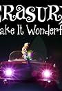 Erasure: Make It Wonderful (2013)