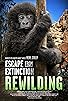 Primary photo for Escape from Extinction: Rewilding