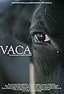 Vaca (2018)