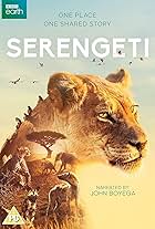 Serengeti (2019)