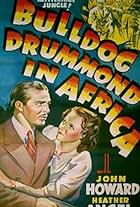 Heather Angel and John Howard in Bulldog Drummond in Africa (1938)