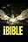 iBIBLE