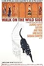 Walk on the Wild Side (1962)