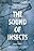 The Sound of Insects: Record of a Mummy