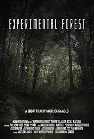 Experimental Forest (2017)