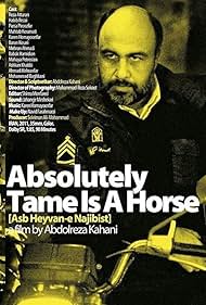 Absolutely Tame Is a Horse (2011)