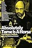 Absolutely Tame Is a Horse (2011) Poster