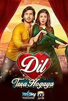 Dil Tera Hogaya