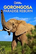 Gorongosa: Paradise Reborn