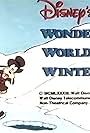 Disney's Wonderful World of Winter (1983)