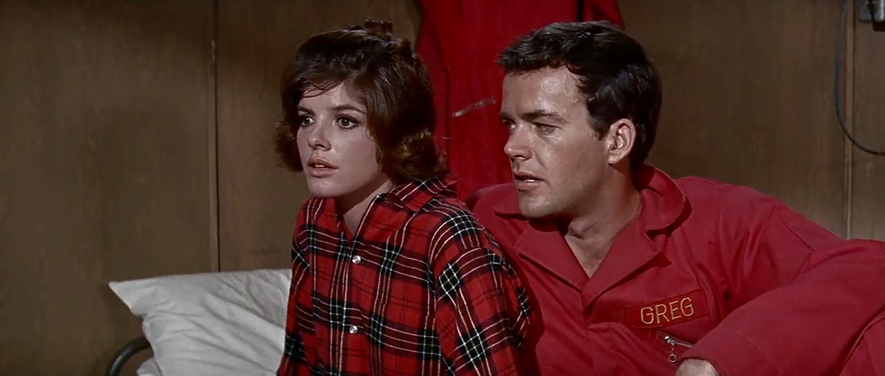 Jim Hutton and Katharine Ross in Hellfighters (1968)