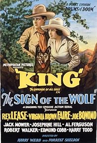 Primary photo for The Sign of the Wolf