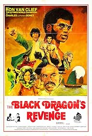 The Black Dragon's Revenge (1975)