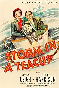 Primary photo for Storm in a Teacup