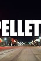 Pellett