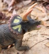 Triceratops