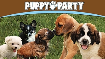 Puppy Party