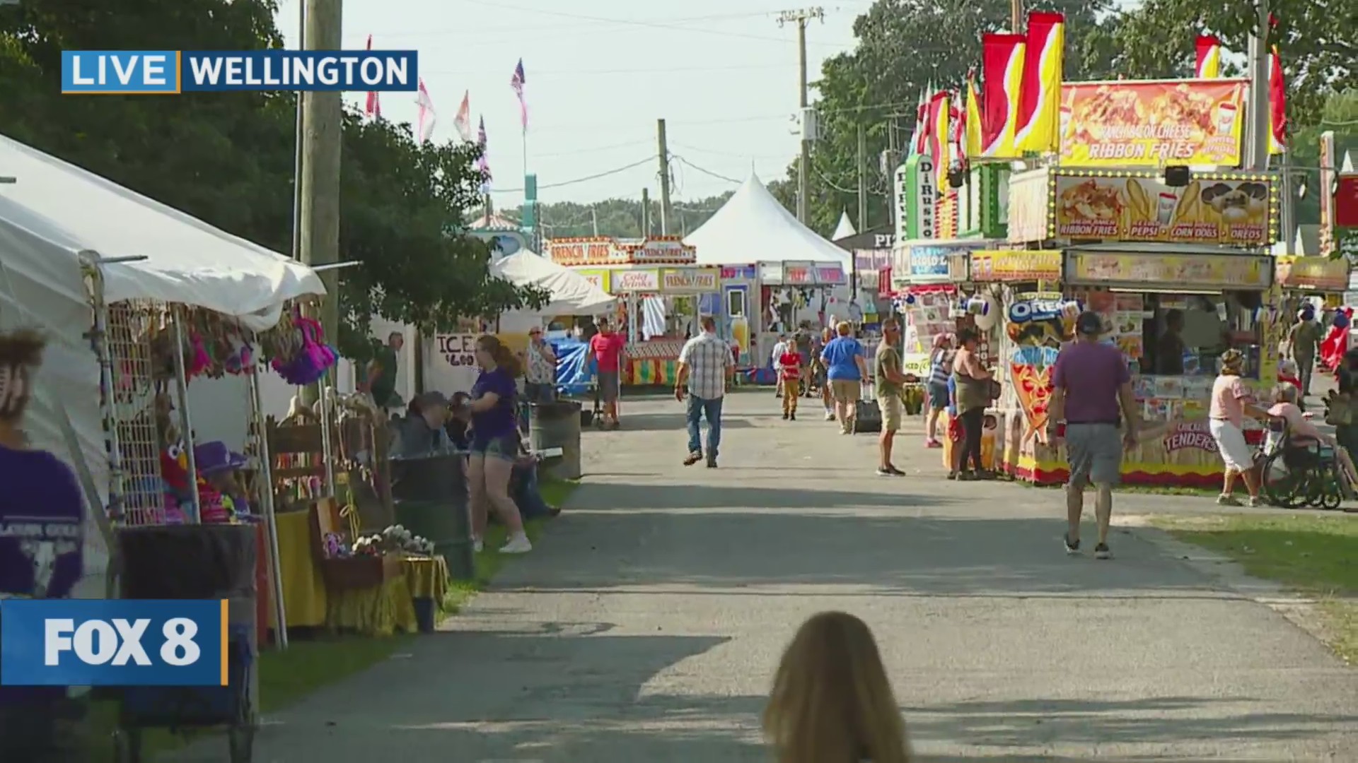 New Day Cleveland Lorain County Fair Fox 8 Cleveland WJW