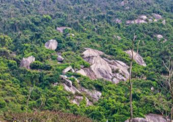 Coloane hiking trail