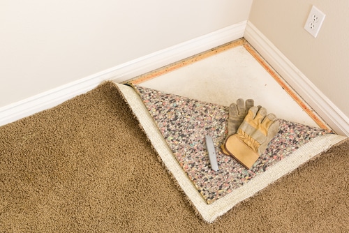 How do I know if there is mold under my carpet