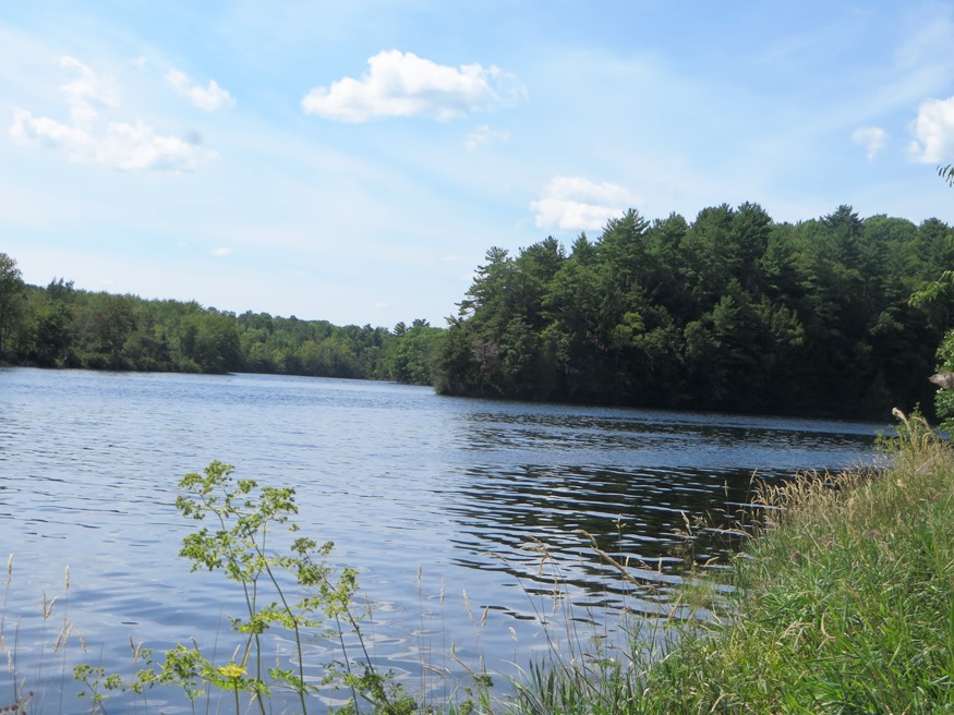 Confluence of East and West Branches of the Penobscot River at Medway (2019)