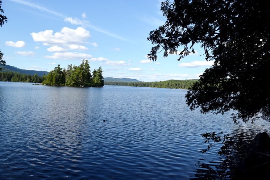 Richardson Pond in Adamstown Township from Richardson Pond Road in Lincoln Plantation (2018)