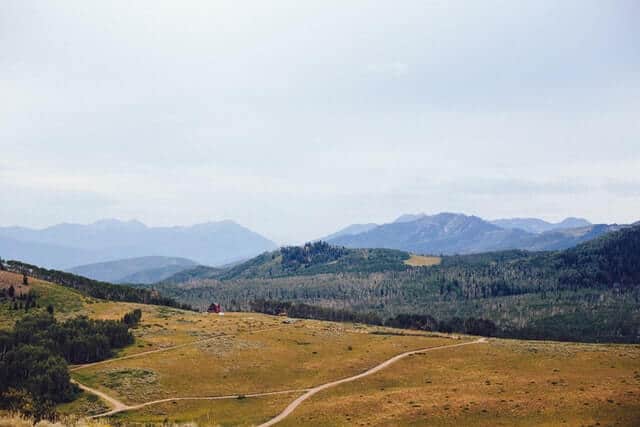 Mountains in the background, green grass with a beige walking track running through it into the distance at the Guardsman Pass