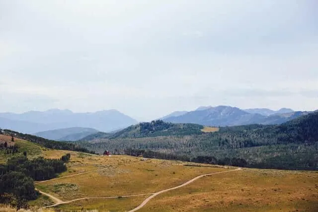 Mountains in the background, green grass with a beige walking track running through it into the distance at the Guardsman Pass