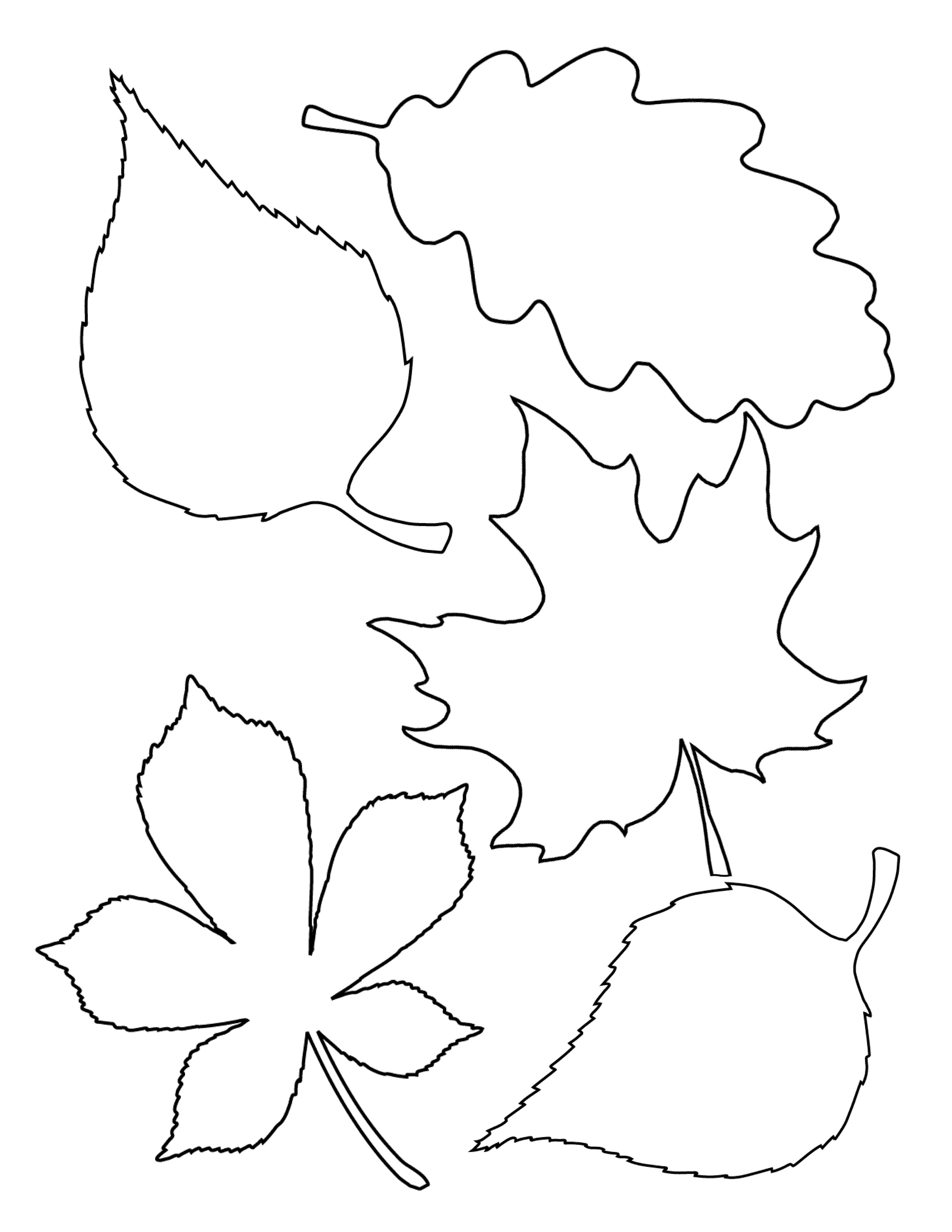 Template For Leaves Free & Printable