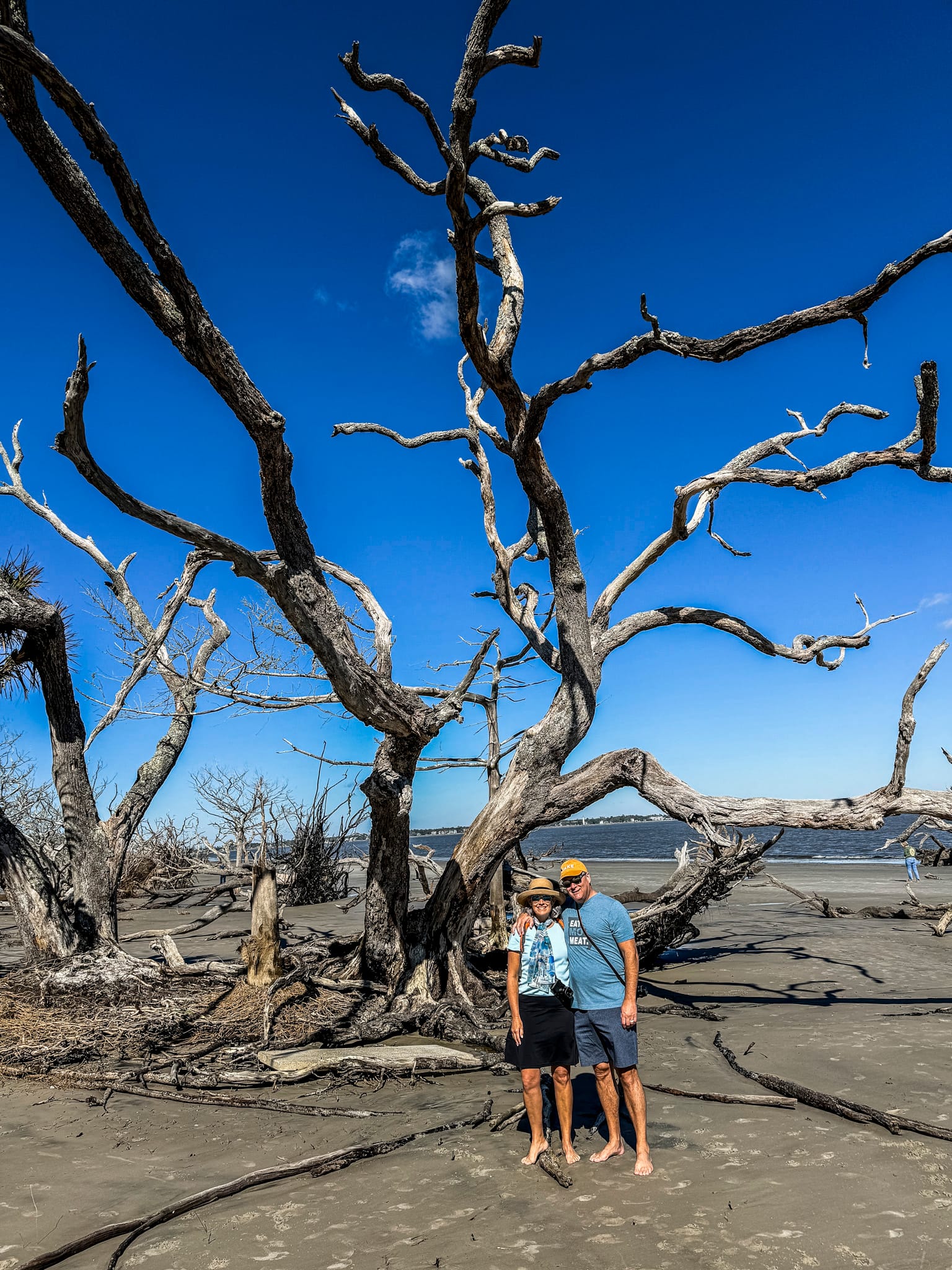 Jekyll Island and The Farm at Okefenokee