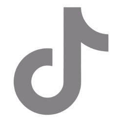 TikTok icon