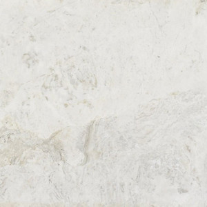 Calacatta Bianco Raphael Stone Quartzite image